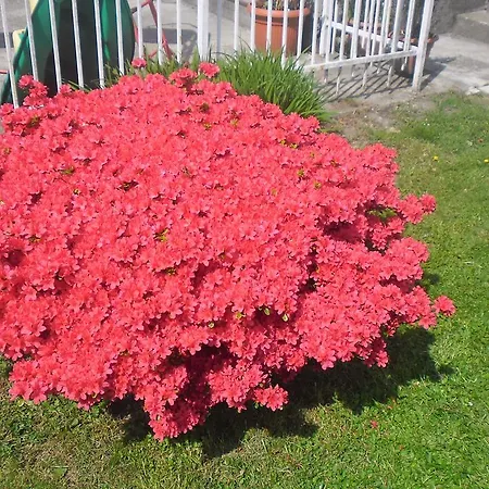 L'ostu Del Povr-om Hotel Pinasca